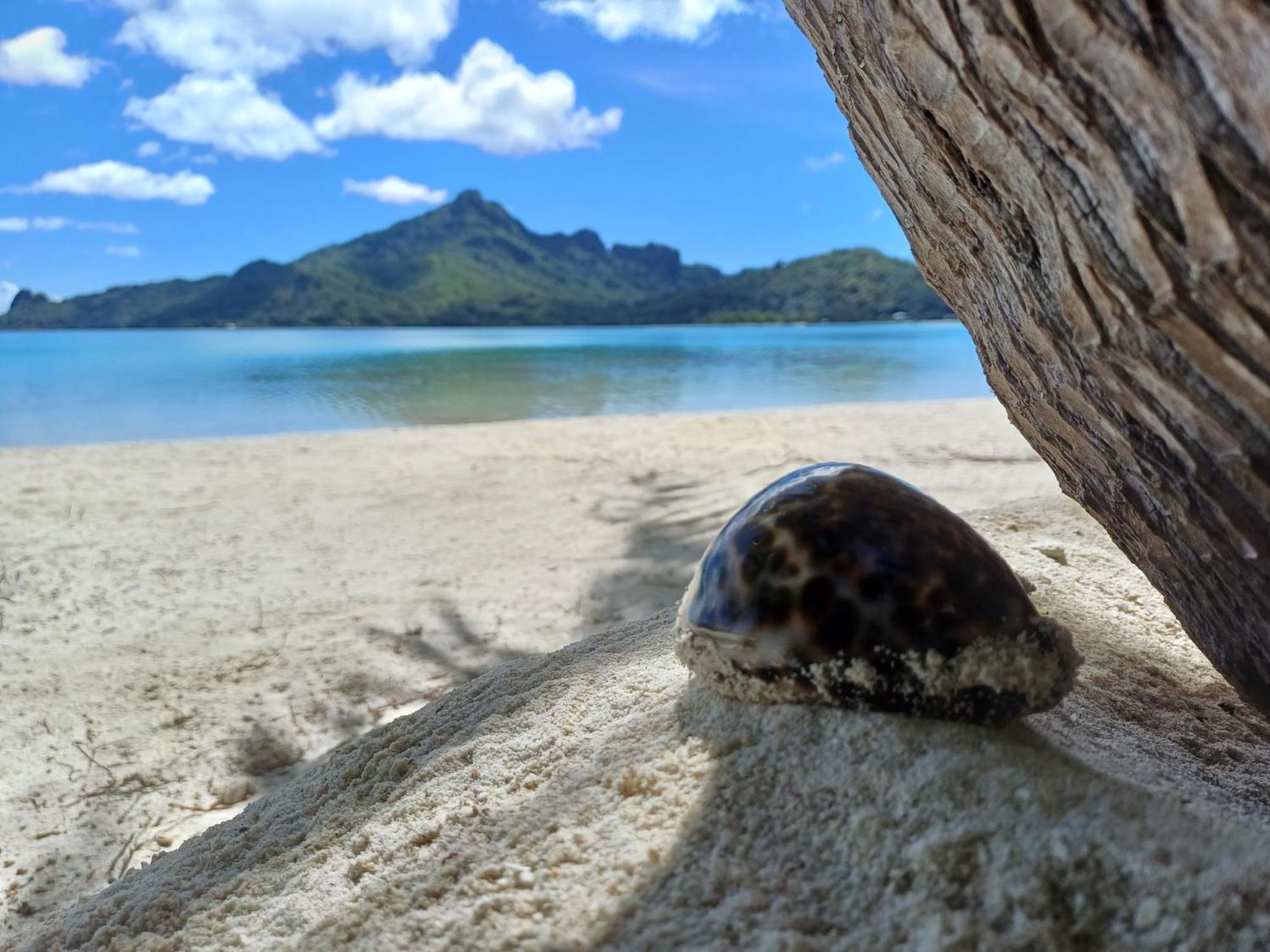 Poemanahere Island Camping A Maupiti Te-Fare-Arii Екстер'єр фото