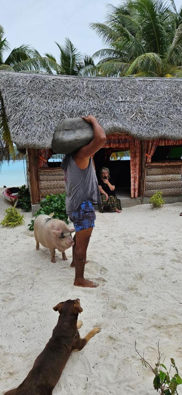 Poemanahere Island Camping A Maupiti Te-Fare-Arii Екстер'єр фото