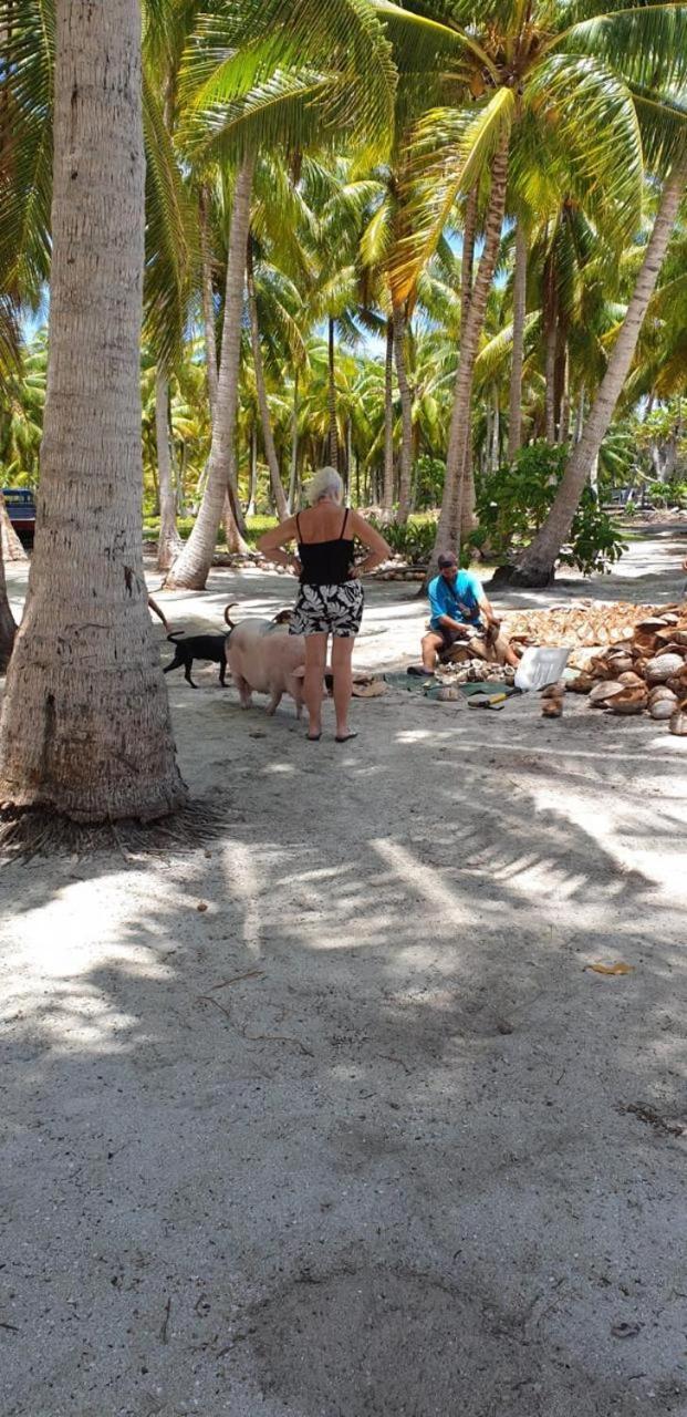 Poemanahere Island Camping A Maupiti Te-Fare-Arii Екстер'єр фото